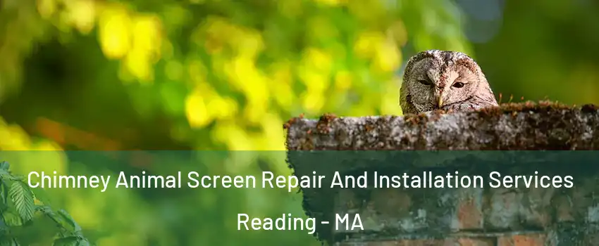  Chimney Animal Screen Repair And Installation Services Reading - MA