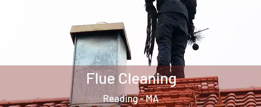  Flue Cleaning Reading - MA